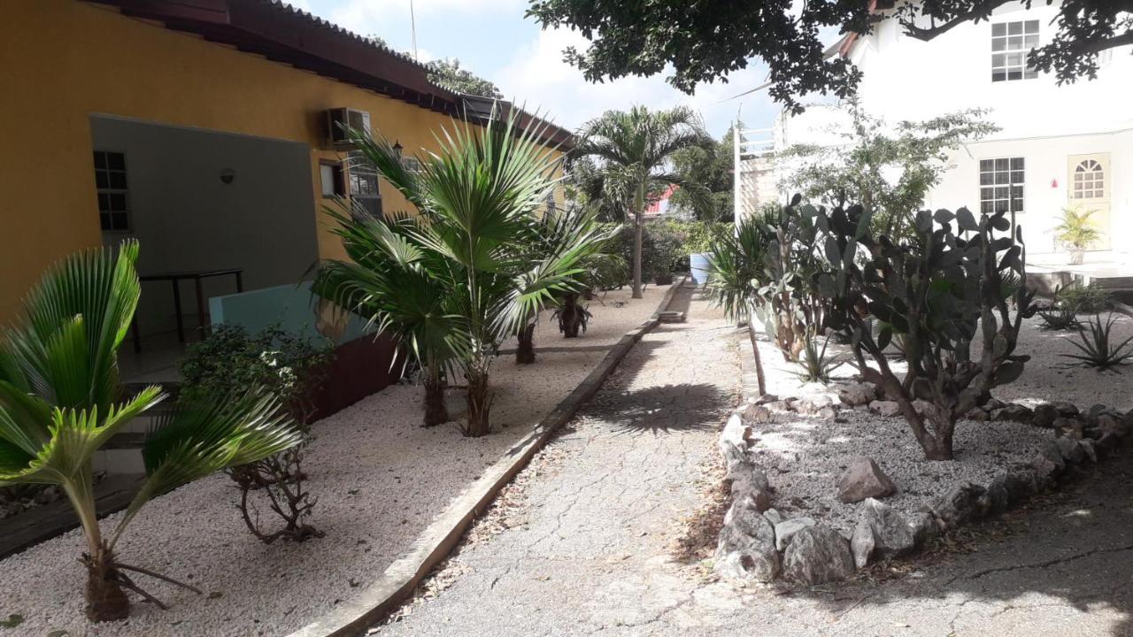 Happy Turtle Apartments Willemstad Kültér fotó